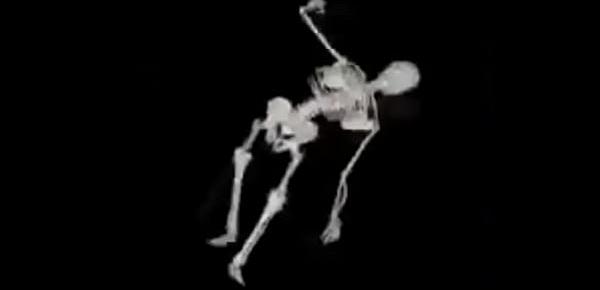 Esqueleto Corno Manso